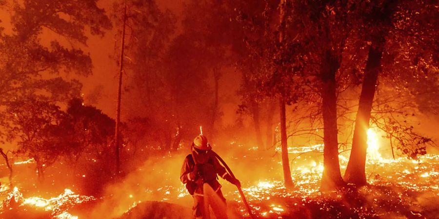 Ein Feuerwehrmann kämpft gegen ein Feuer im Mariposa County. Foto: Noah Berger/AP/dpa