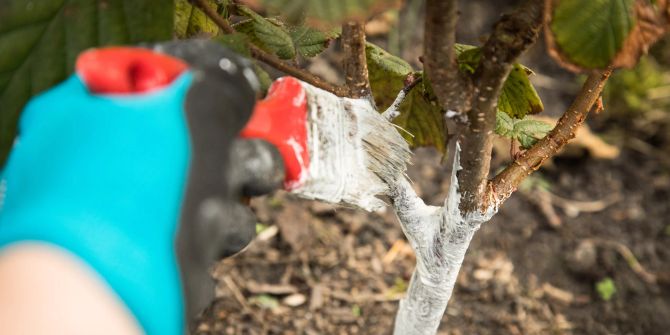 Pinsel weisse Farbe Baum Stamm Handschuh blau