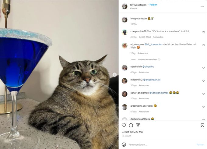 Durch diese Pose wurde Kater Stepan weltberühmt: Lässig auf einen Tisch gestützt mit einem Getränk vor sich. Stepan