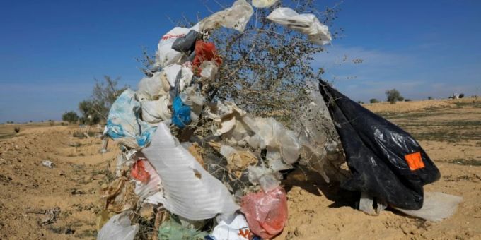 Plastikmüll an einem Strauch Plastikmüll an einem Strauch
