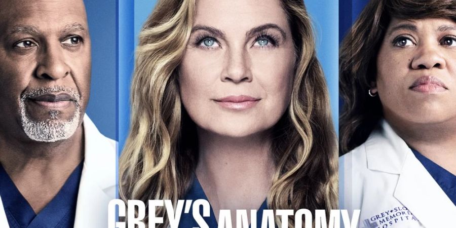 grey's anatomy ellen pompeo