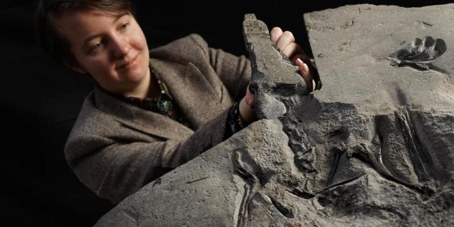 Im National Museum of Scotland zeigt Natalia Jagielska, Doktorandin der Universität von Edinburgh, das Fossil eines Flugsauriers aus dem Jura-Zeitalter. Foto: Stewart Attwood/National Museum of Scotland/PA Media/dpa