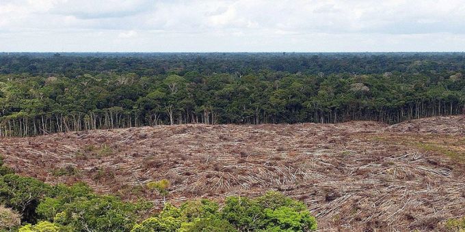 Das Abholzen von Regenwäldern, wie hier im Amazonas, bringt den Menschen in bisher unberührte Gebiete vor. (Archivbild) klimawandel entwaldung regenwald