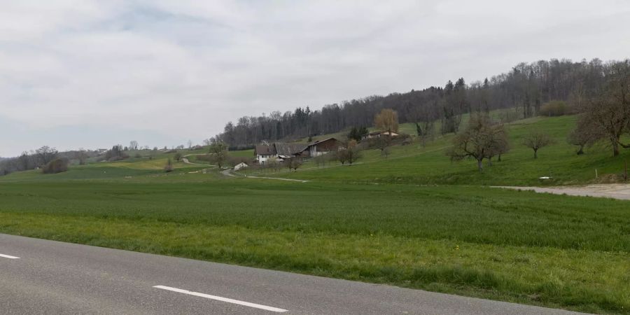 Landschaft bei Seengen in der Region Lenzburg.