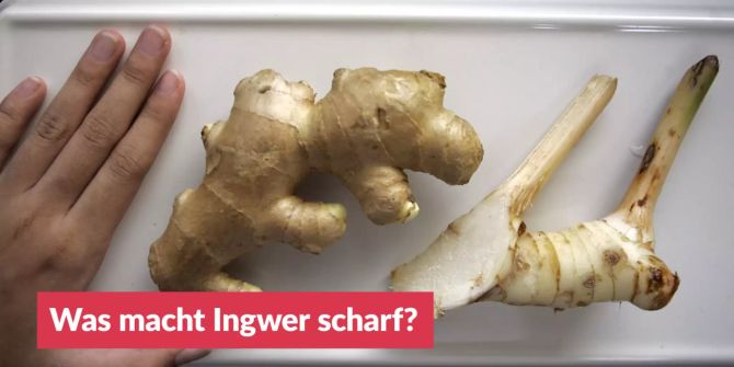 Was macht Ingwer scharf?