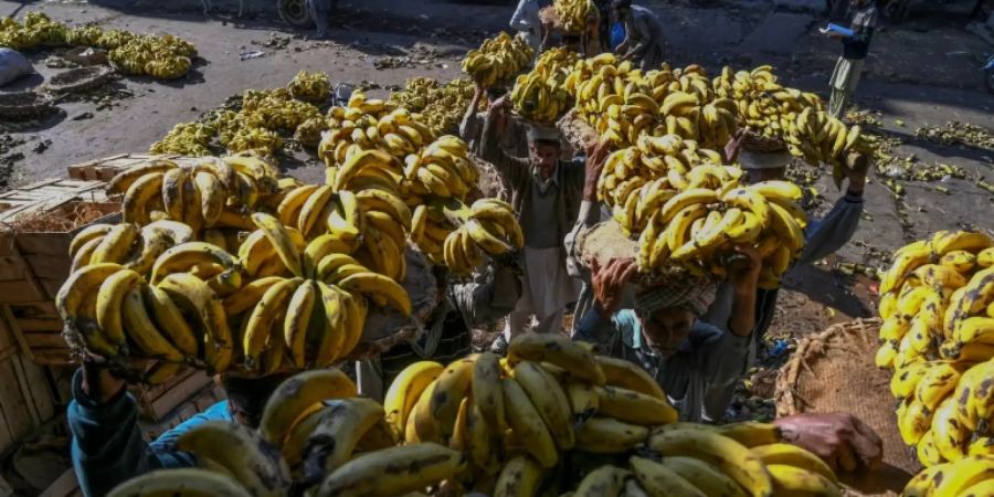 Arbeiter tragen Bananen auf einen Markt in Lahore in Pakistan