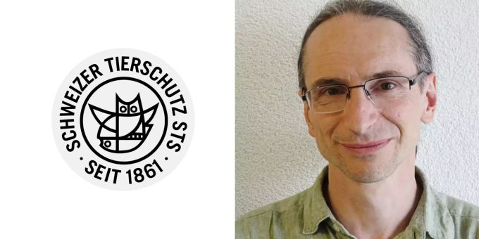 Cesare Sciarra vom Schweizer Tierschutz. sts sciarra
