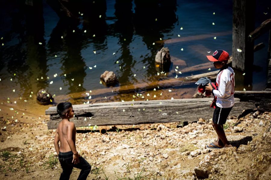 Amazonas