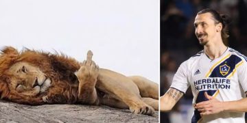 Zlatan Ibrahimovic