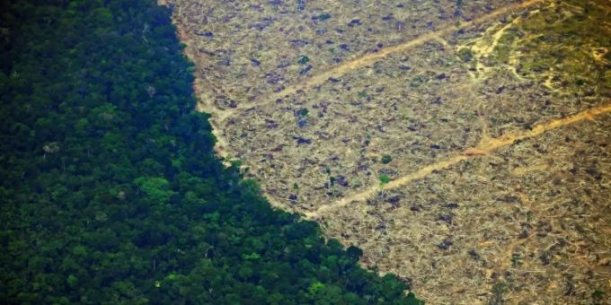 Die Entwaldung im Amazonasgebiet schreitet drastisch voran. maschinelles lernen