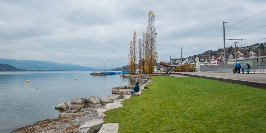 Das Ufer des Zürichsee (Obersee).