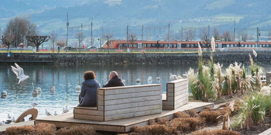 Der Hafen von Rapperswil mit Blick auf den Seedamm.