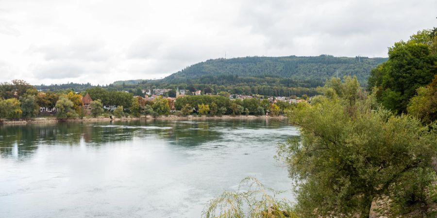 Das Rheinufer in Stein AG.