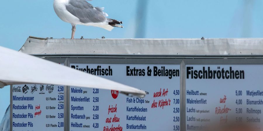 Wo Fischbrötchen verkauft werden, sind Möwen meist nicht weit. Hier haben die Vögel leichte Beute.