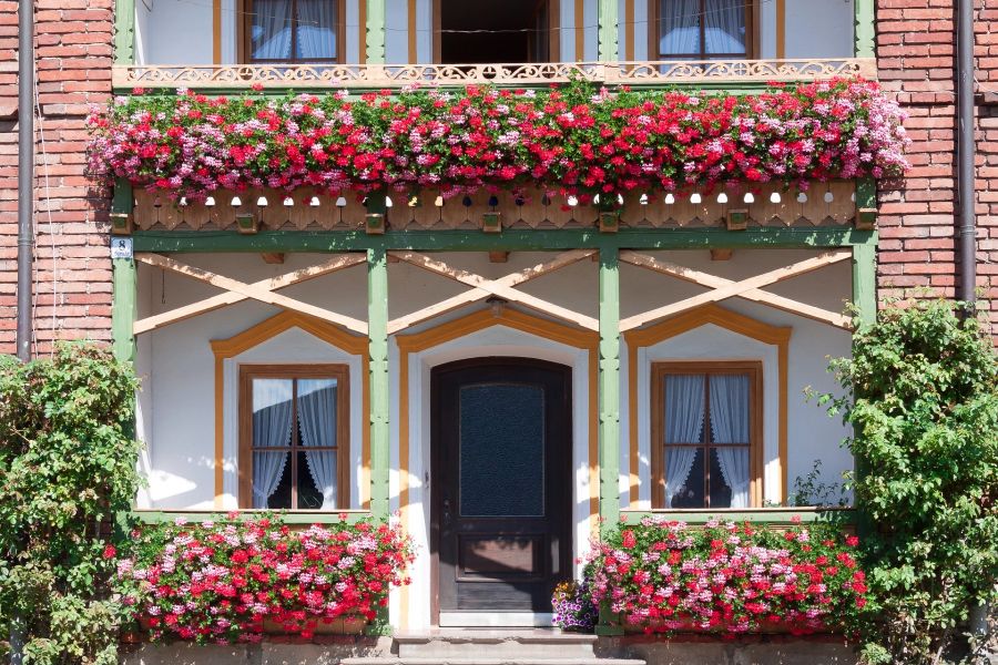 Geranien Bauernhaus rot rosa