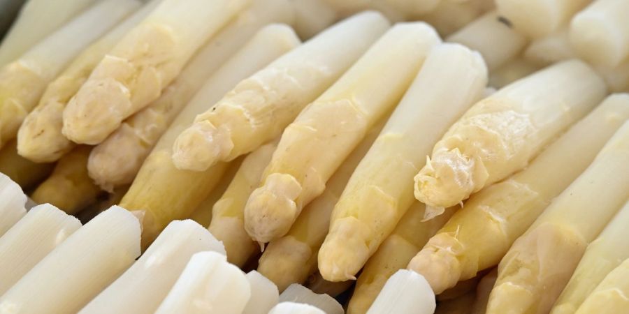 Spargel liegt auf dem Buffet bei der Eröffnung der Spargelsaison. Einer Umfrage zufolge, findet ein Drittel die Spargelzeit für einen übertriebenen Hype.