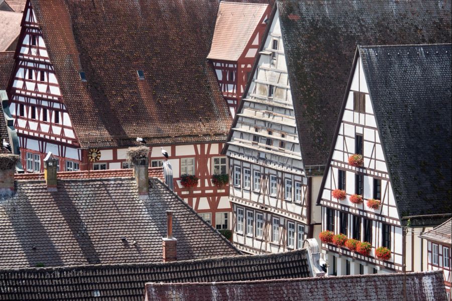 Fachwerkhäuser Schieferdach Geranien Altstadt