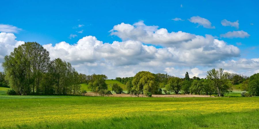 Landschaft am Rande des Oderbruchs. Die Kulturlandschaft trägt nun das Kulturerbe-Siegel.