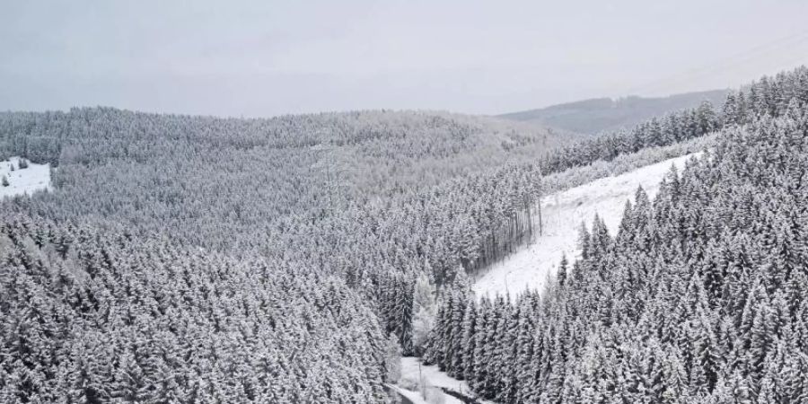 Der Thüringer Wald im Winterkleid (am 9.12.). Foto: Martin Schutt/dpa-Zentralbild/dpa