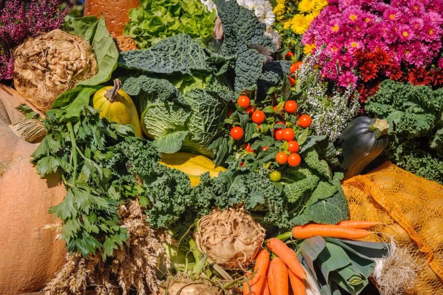 Kohl Wurzeln Sellerie Blumen