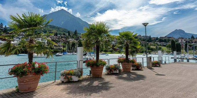 Schiffländte Spiez, Spiezer Bucht und der Niesen im Hintergrund. Schiffländte Spiez, Spiezer Bucht und der Niesen im Hintergrund.