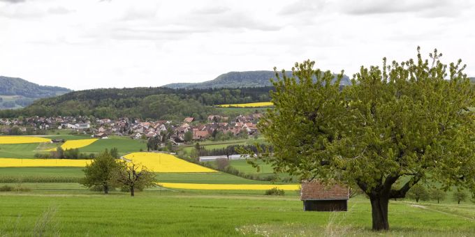 Blick (in Richtung Norden) auf die Gemeinde Wenslingen von der Strasse nach Zeglingen. Blick (in Richtung Norden) auf die Gemeinde Wenslingen von der Strasse nach Zeglingen.