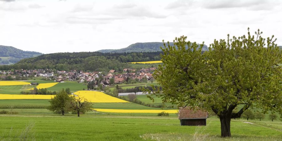 Blick (in Richtung Norden) auf die Gemeinde Wenslingen von der Strasse nach Zeglingen.