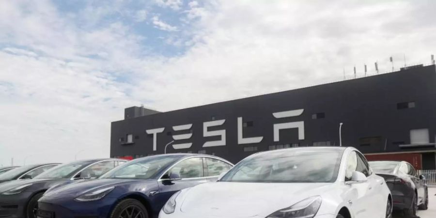 diskriminierung tesla