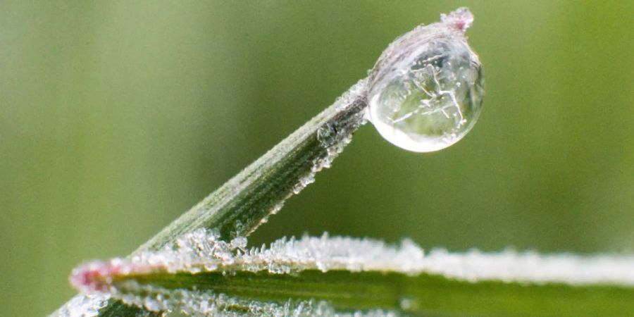 In der Schweiz sind die Temperaturen am frühen Donnerstagmorgen auf unter null Grad gesunken. (Archivbild)