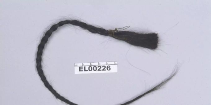 Zopf der Sitting Bull DNA Analyse sitting bull dna analyse