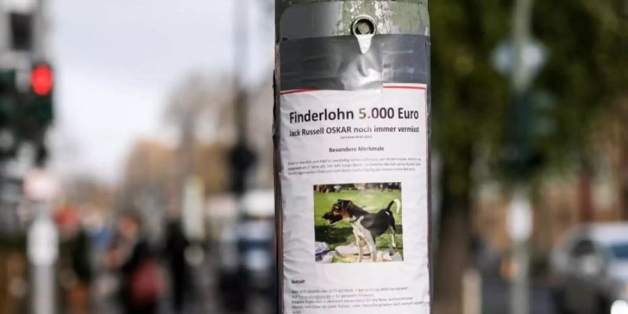 Auf einem Zettel an einem Laternenpfahl in Prenzlauer Berg wird mit einem Finderlohn nach dem vermissten Hund Oskar gesucht. Foto: Jens Kalaene/dpa-Zentralbild/dpa