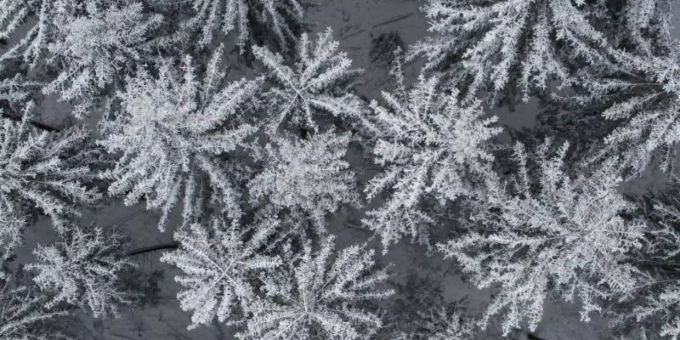 Schnee bedeckt die Baumwipfel auf dem Feldberg. Foto: Boris Roessler/dpa Schnee bedeckt die Baumwipfel auf dem Feldberg. Foto: Boris Roessler/dpa