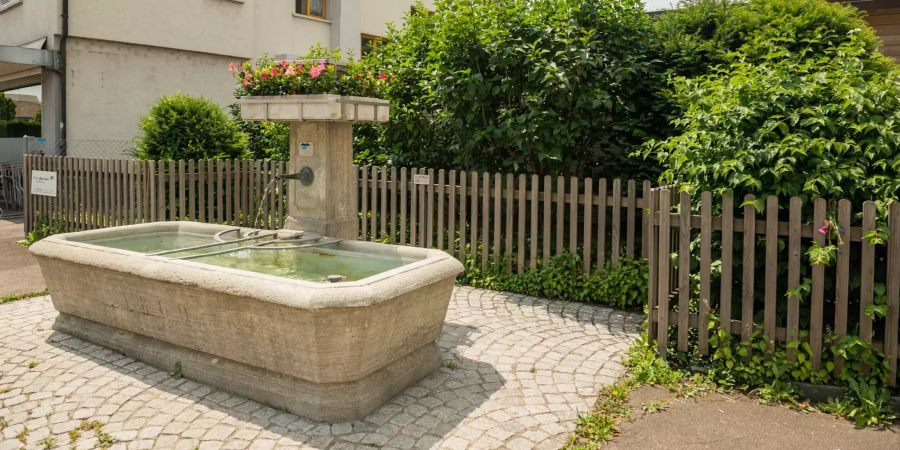 Der Dorfbrunnen in Fehraltorf (ZH).