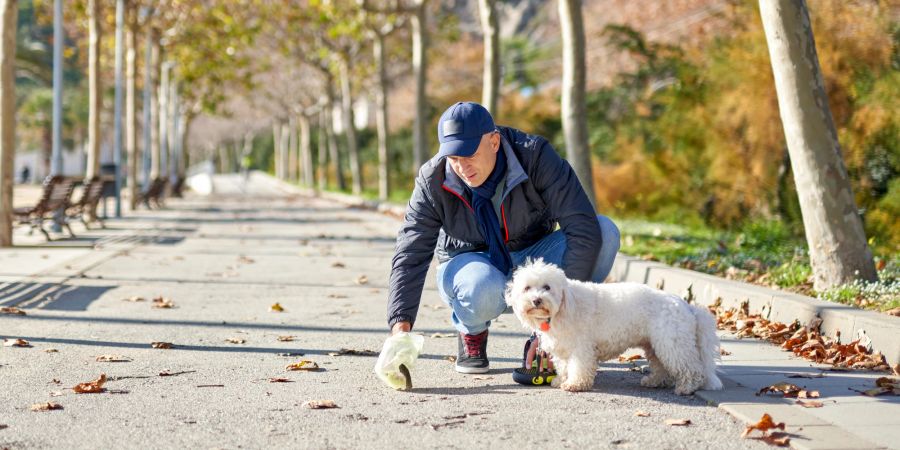 Die Hinterlassenschaften Ihres Hundes sollten Sie gerade im städtischen Umfeld immer aufsammeln.