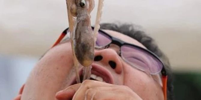 Oktopus