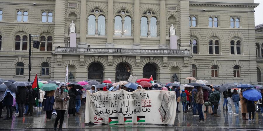 Die Demonstranten fordern Freiheit für Palästina.