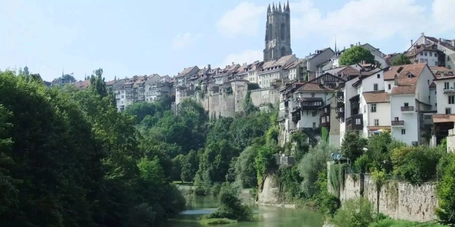 Immerhin: In sechs grösseren Gemeinden – zum Beispiel in Freiburg – sind bereits 100 Prozent der Heizungen in Neubauten erneuerbar.