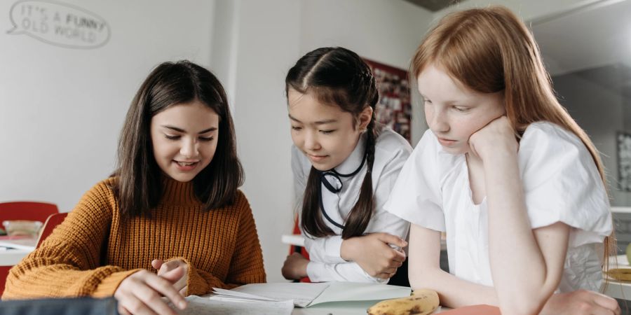 schüler migranten förderprogramm