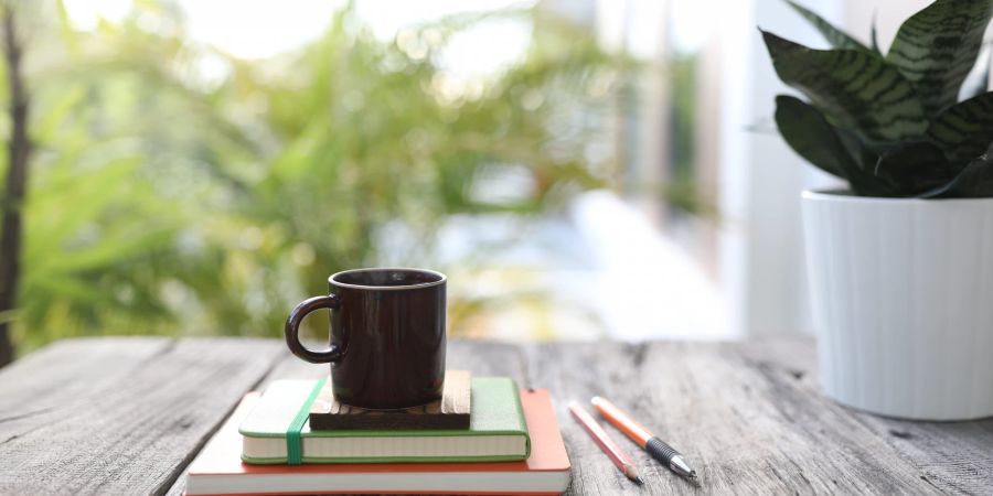 Ein Tisch mit zwei Büchern, einer Kaffeetasse und einer Pflanze.