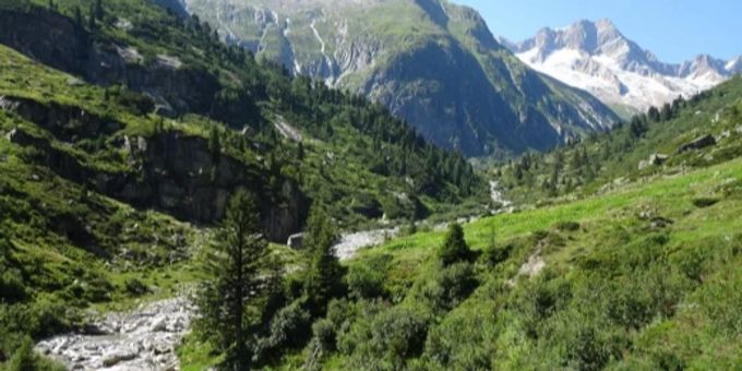 Das Waldreservat Göschenertal umfasst auch Waldweiden im Voralptal. Landschaft in den Bergen