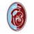 Logo FC Sportfreunde