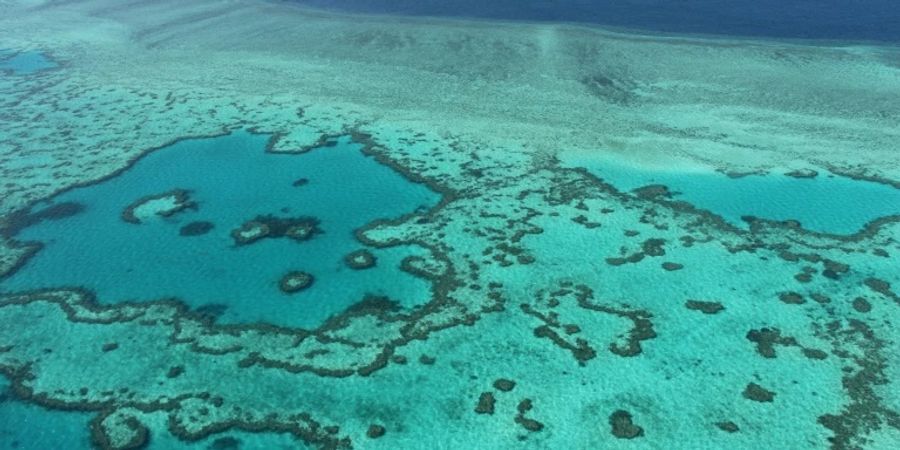 Das Great Barrier Reef ist wegen der Meeres-Hitzewelle bedroht. (Archivbild)