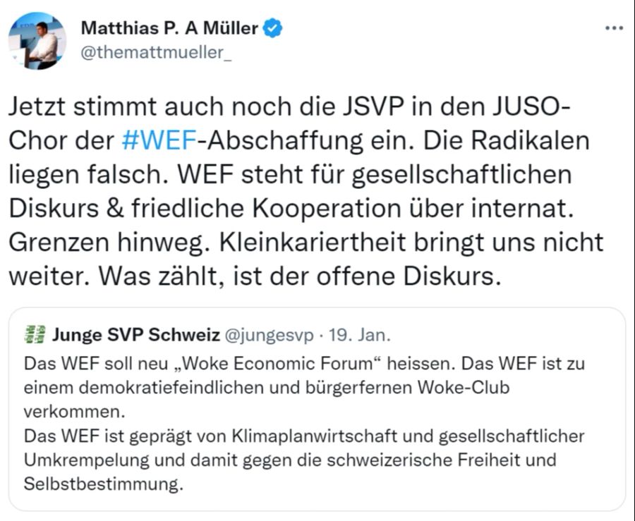 Matthias Müller WEF