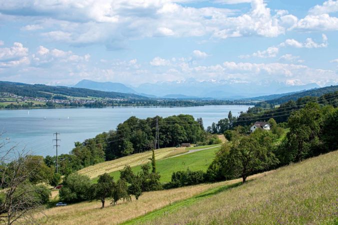 Aussicht auf den Hallwilersee aus Beinwil am See.