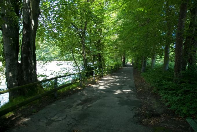 Der Uferweg. Uferweg mit Bäumen