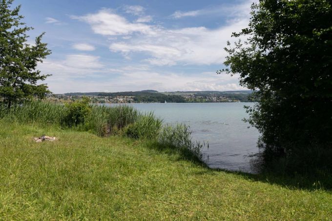 Boniswiler Ried, Boniswil