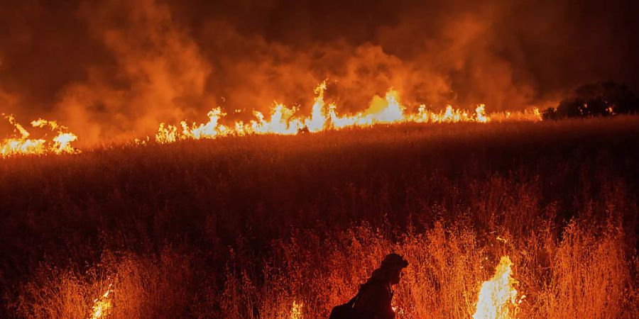 Ein Feuerwehrmann kämpft in nahe der kalifornischen Stadt Winters gegen einen Waldbrand.