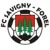 Logo FC Savigny-Forel