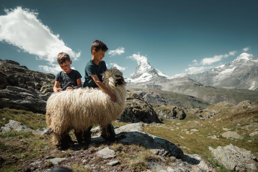 Ausflüge Schweiz