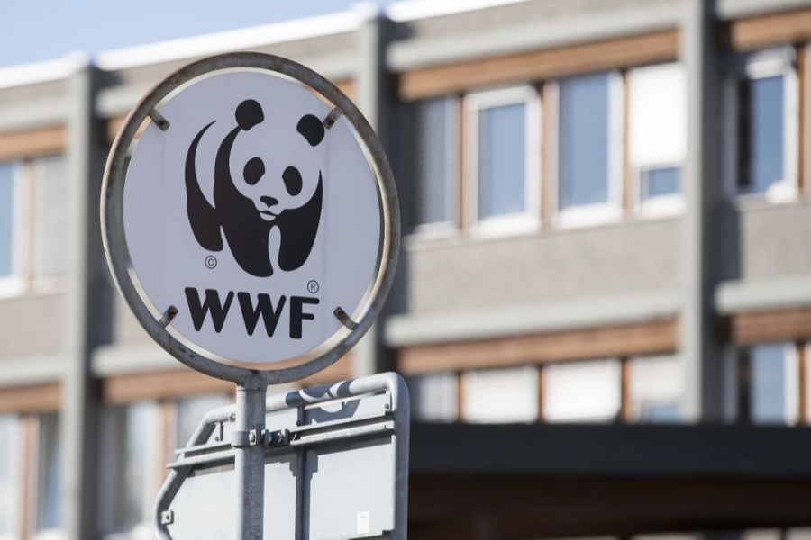 wwf fleisch grillen